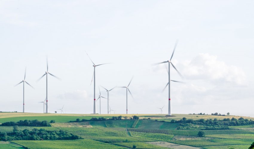 eco-products