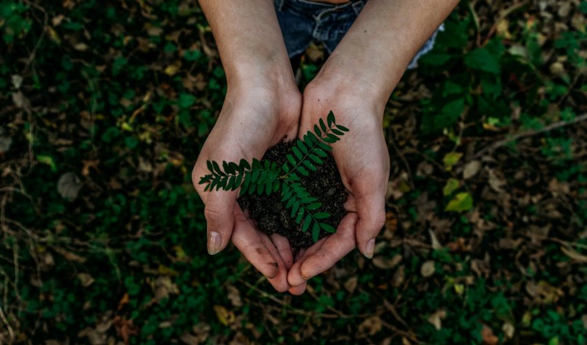 sustainable-items