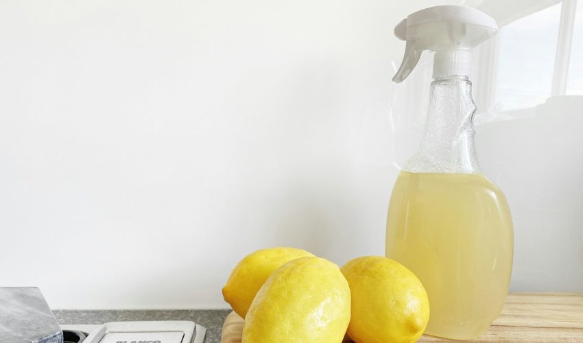 sustainable-products-and-services-examples