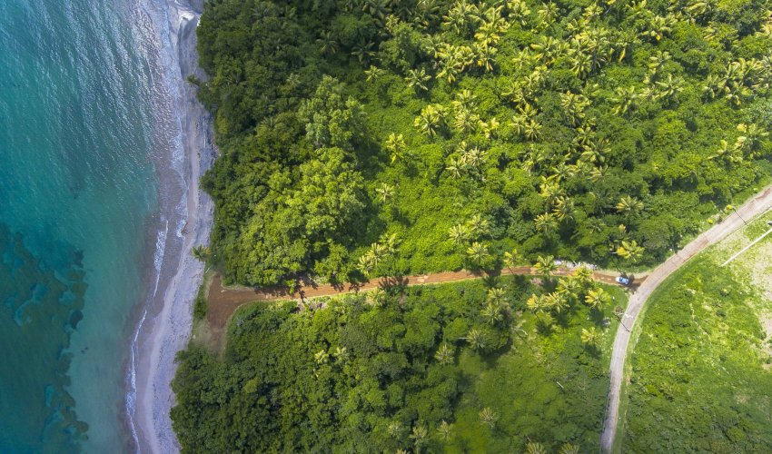 why-is-it-important-to-adopt-sustainable-development